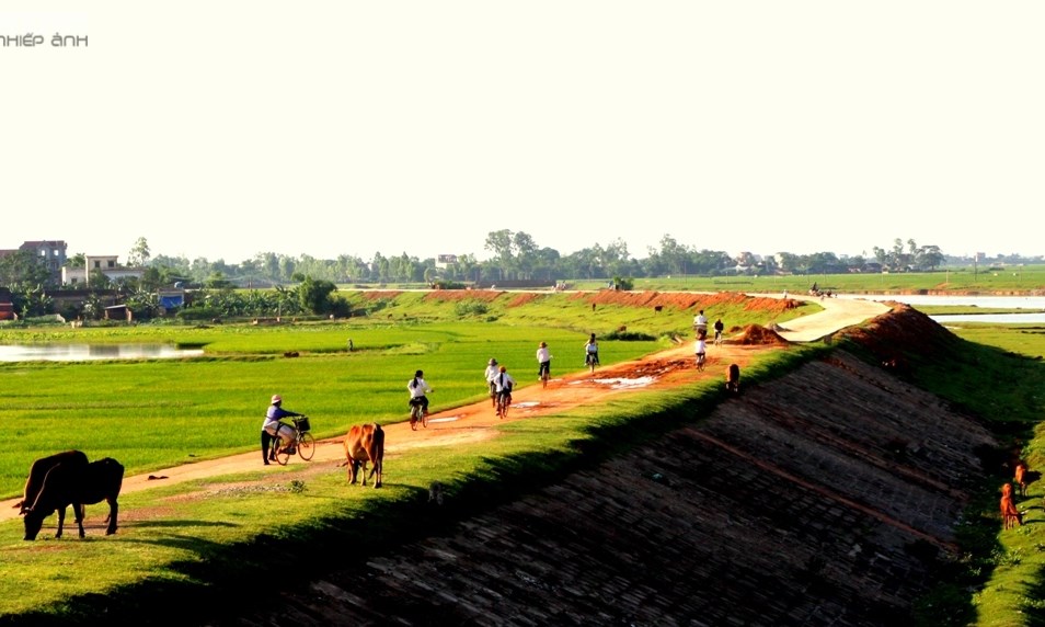 Triền đê tuổi thơ (Bài đọc hiểu tiếng Việt lớp 5 - đề số 28)